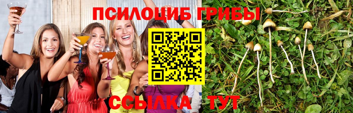 Псилоцибиновые грибы мицелий Бахчисарай