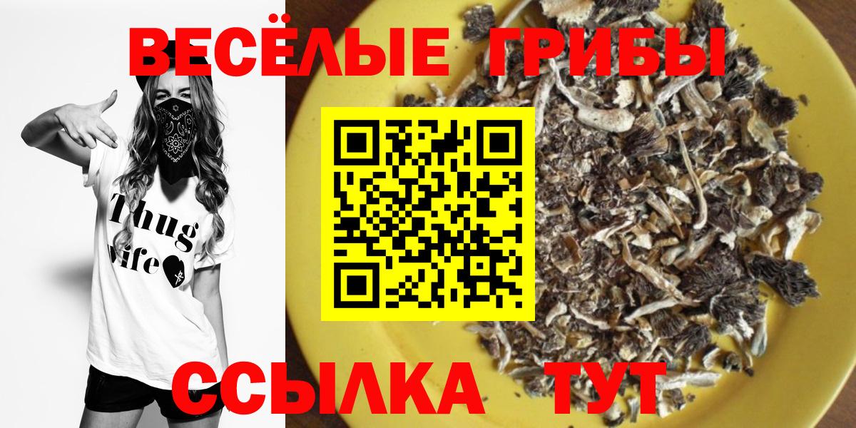 Галлюциногенные грибы мухоморы  купить наркотик  Бахчисарай  Вход с VPN 